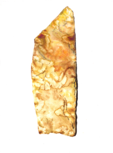 Maen Bradwen standing stone